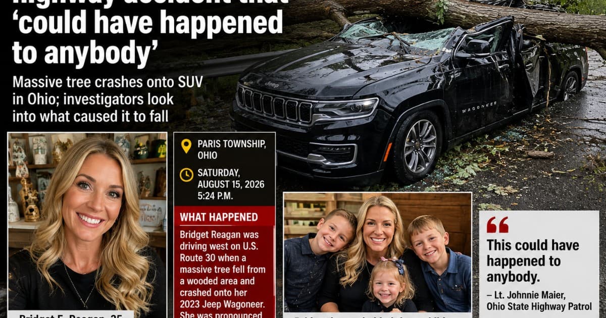 Mom of 3 Killed After Massive Tree Crashes Onto SUV in Freak Ohio Highway Accident
